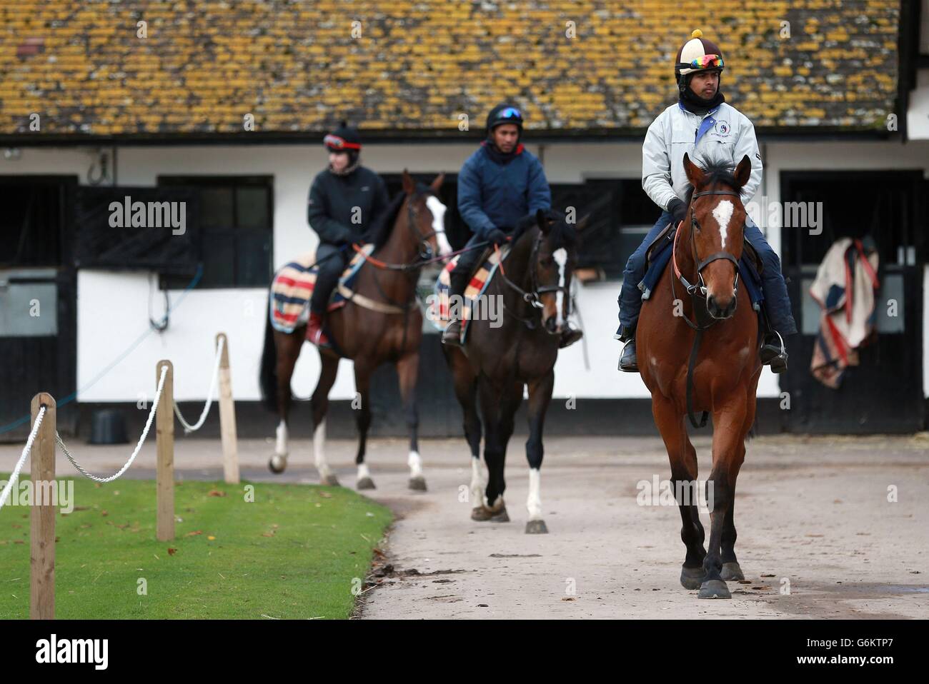Caballos en el patio de ejercicios en siete carretillas fotografías e