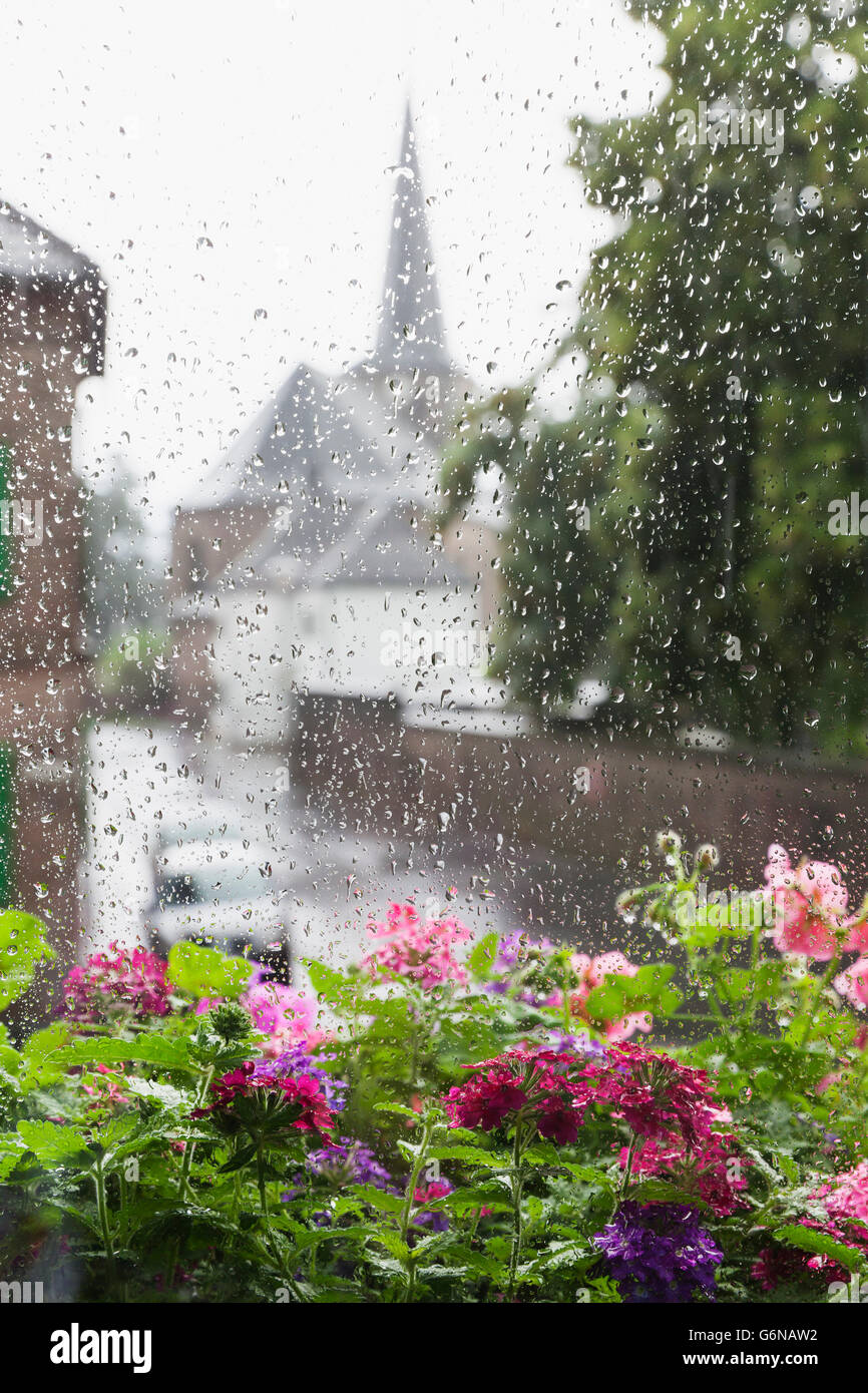 Alemania, Colonia, las fuertes lluvias en verano, flores de verano en maceta de flores y las gotas de lluvia en el cristal Foto de stock