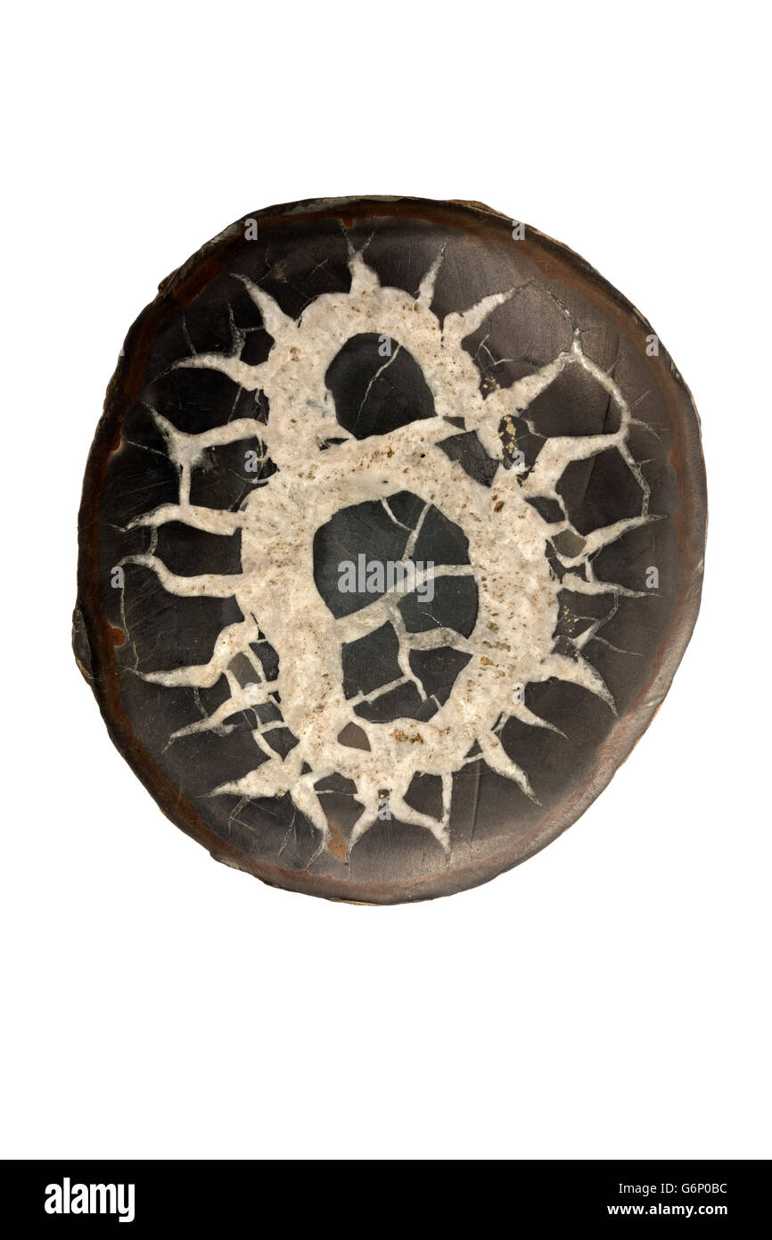 Concreción o septarian Septarian (nódulo), Marruecos, una densa masa formada por la precipitación de minerales en las rocas sedimentarias de cemento Foto de stock