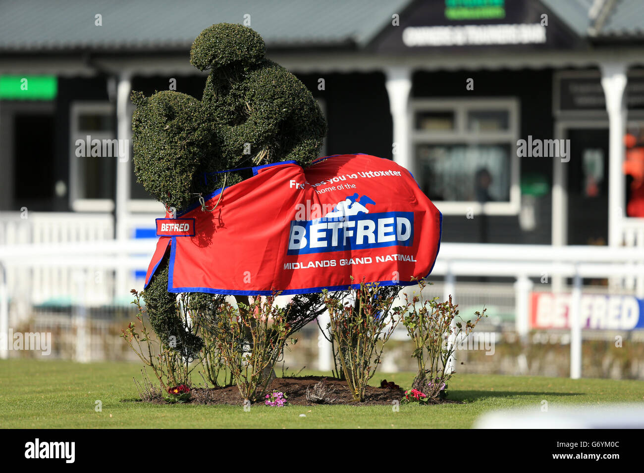 Topiario en forma de jockey y caballo de carreras Un anuncio de Betfred Midlands Grand National Foto de stock