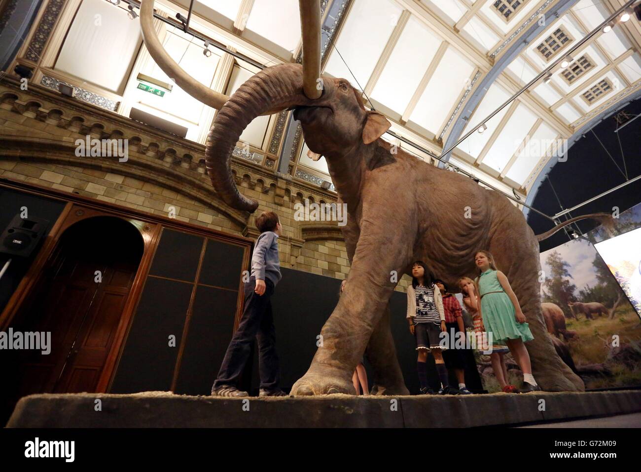 Los niños ven una mammota colombiana en la exposición Mammoth: Ice Age Giants en el Museo Nacional de Historia en el centro de Londres. Foto de stock