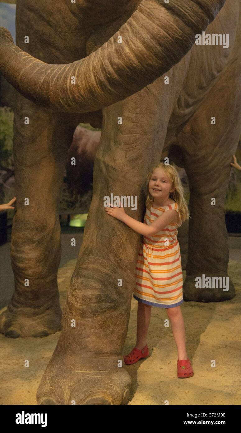 Un niño se aferra a una Mamut colombiana en la exposición Mammoths: Ice Age Giants en el Museo Nacional de Historia en el centro de Londres. Foto de stock