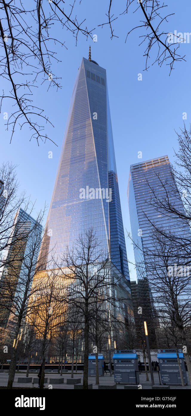 Vista panorámica vertical de One World Trade Center rascacielos al atardecer. Lower Manhattan, el distrito financiero de la ciudad de Nueva York Foto de stock