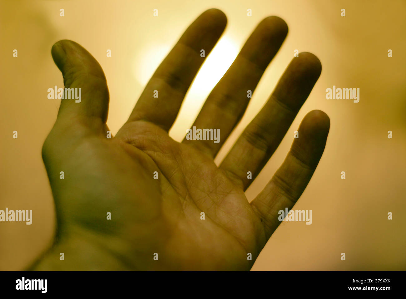 Fotografía de una mano humana sobre un fondo de luz borrosa Foto de stock