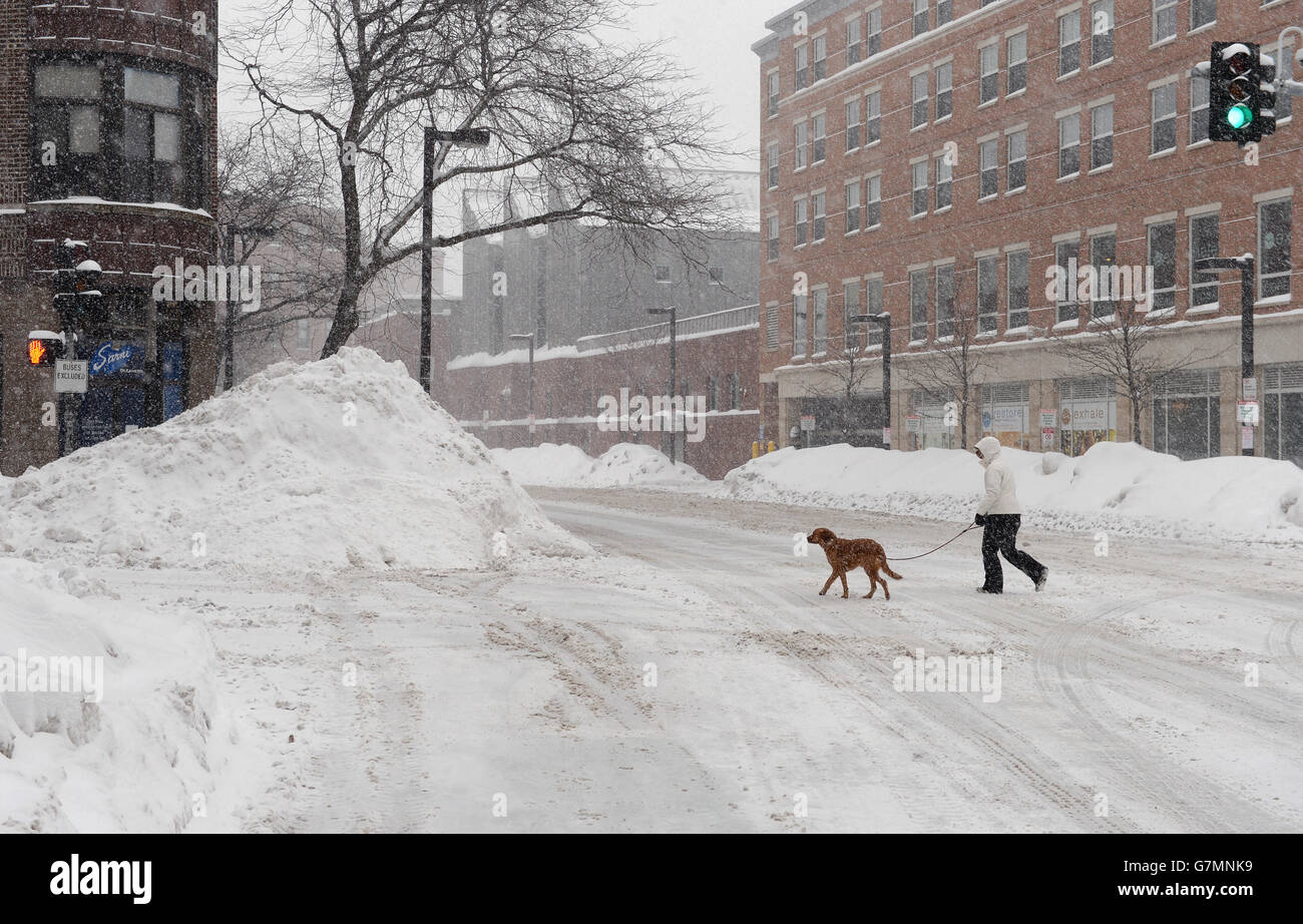 Calles desiertas en Boston, EE.UU., ya que Boris Johnson se vio obligado a reducir la escala de su misión comercial en Boston en medio de graves advertencias de tormenta de invierno. Foto de stock
