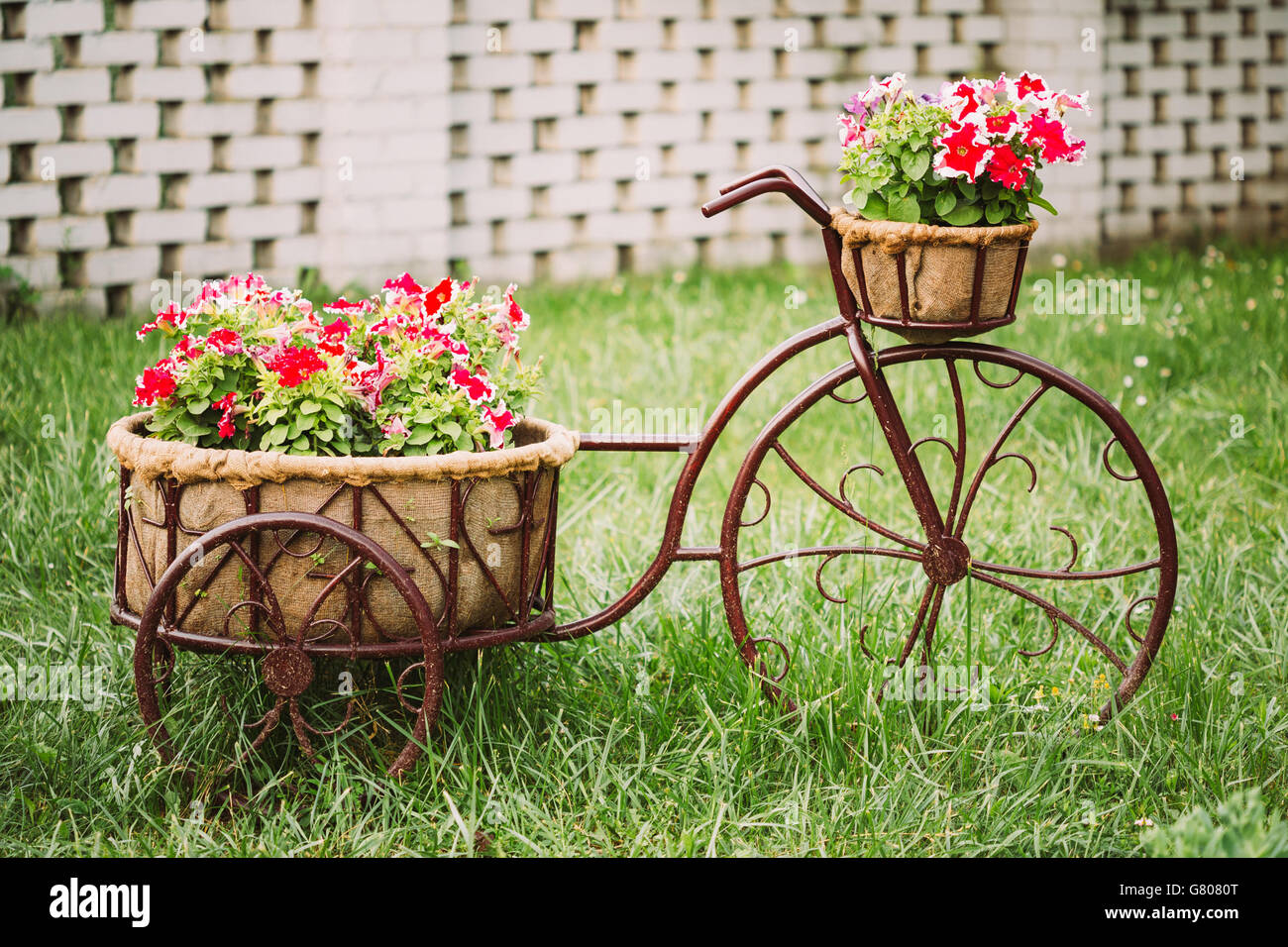 Bicicleta con canasta vintage new arrivals