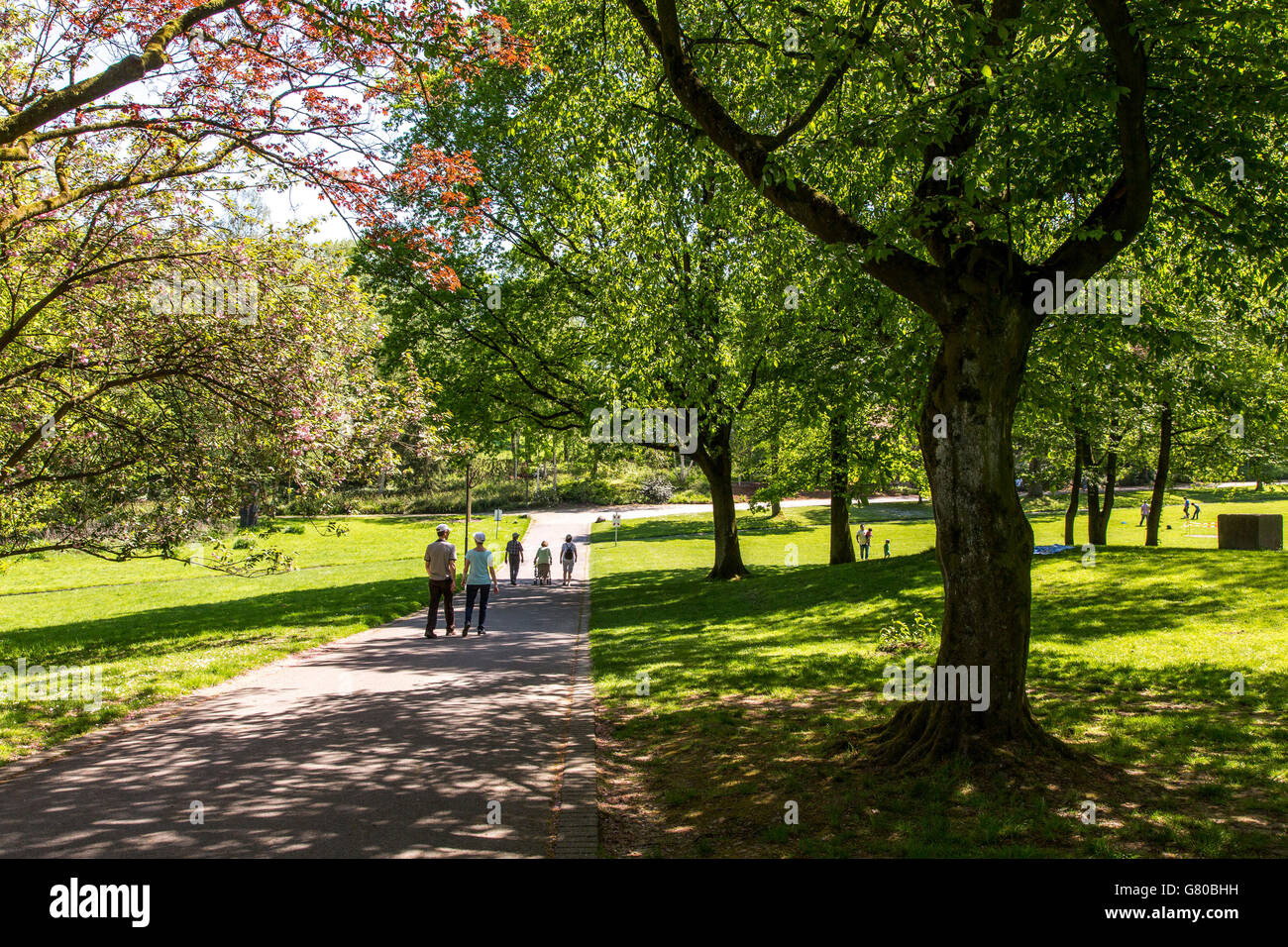 El Grugapark en Essen, Alemania, un parque municipal en el centro de la ciudad, con muchas plantas, jardines, animales y la actividad de ocio Foto de stock