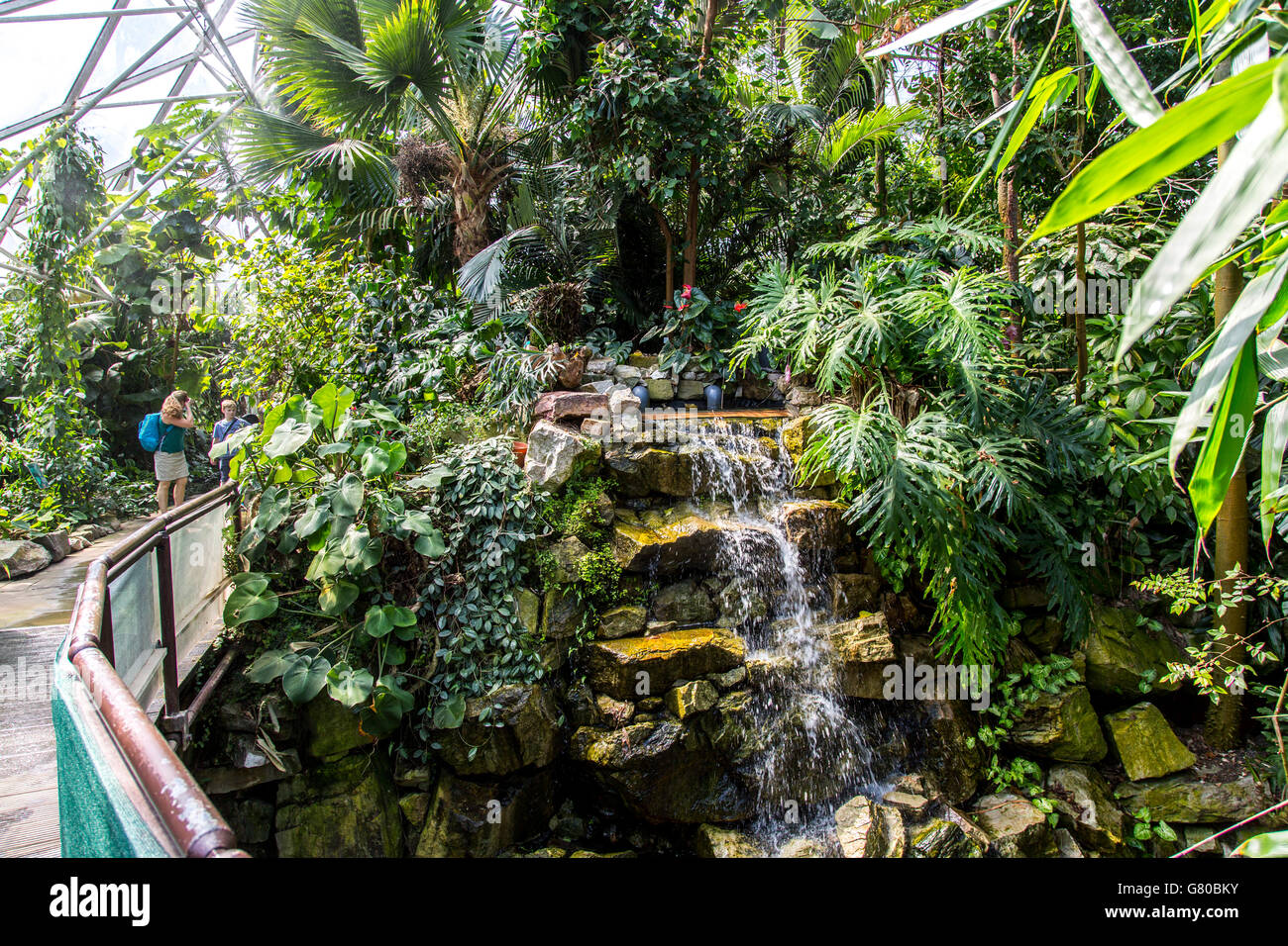 El Grugapark en Essen, Alemania, un parque municipal en el centro de la ciudad, con muchas plantas, jardines, animales y la actividad de ocio Foto de stock