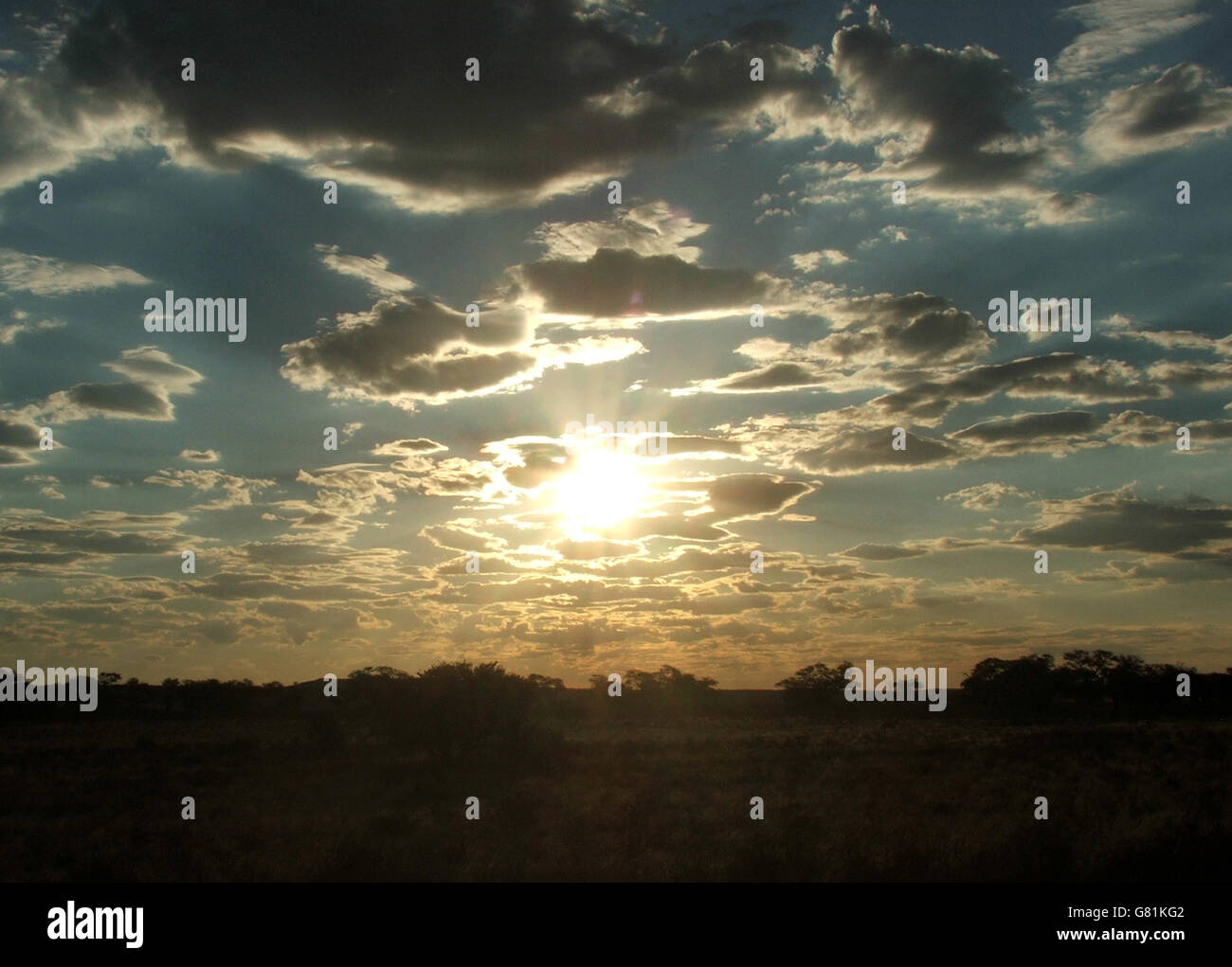 Puesta de sol, el Parque Transfronterizo Kgalagadi, África Foto de stock