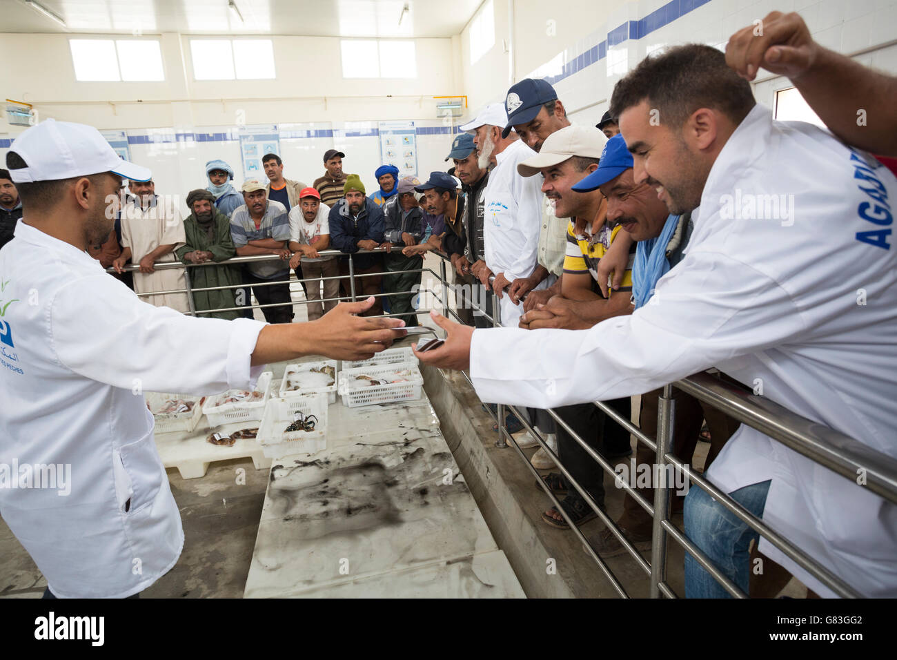 Los trabajadores comprar y vender pescado y marisco fresco en una subasta en Tifnit, cerca de Agadir, en Marruecos. Foto de stock