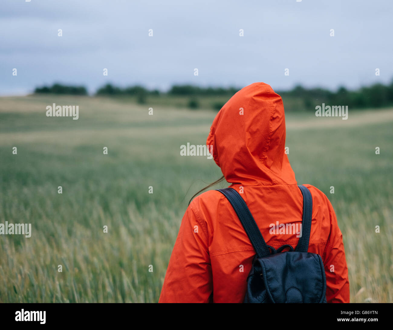 Vista trasera de la mujer en pie en el campo impermeable Foto de stock