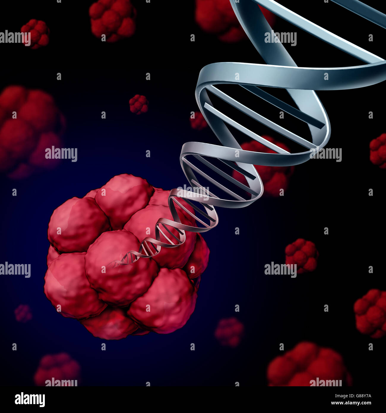 El ADN de células madre o stemcell genética concepto como una ilustración tridimensional de células biológicas que dividen a través de la mitosis se encuentra en los seres humanos con una hélice doble hebra con cromosomas emergiendo como una ciencia médica de investigación sanitaria como un símbolo 3D Foto de stock