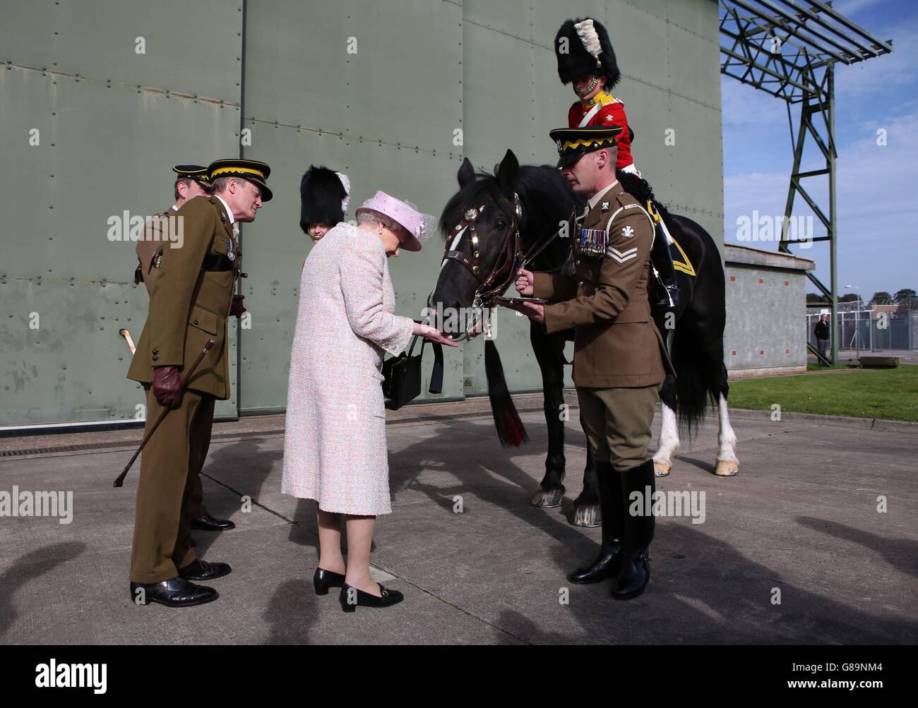 La Reina Isabel II alimenta a Talavera el caballo de tambor regimental durante una visita a los Reales Guardias de Dragones escoceses en el nuevo cuartel del regimiento en Fife. Foto de stock