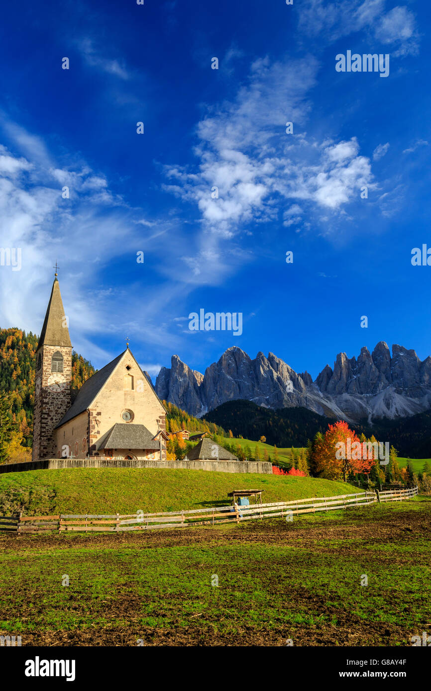 Iglesia de Santa Magdalena sumergido en los colores de otoño con odle en el fondo del valle de Funes Tirol del sur Italia Europa Foto de stock