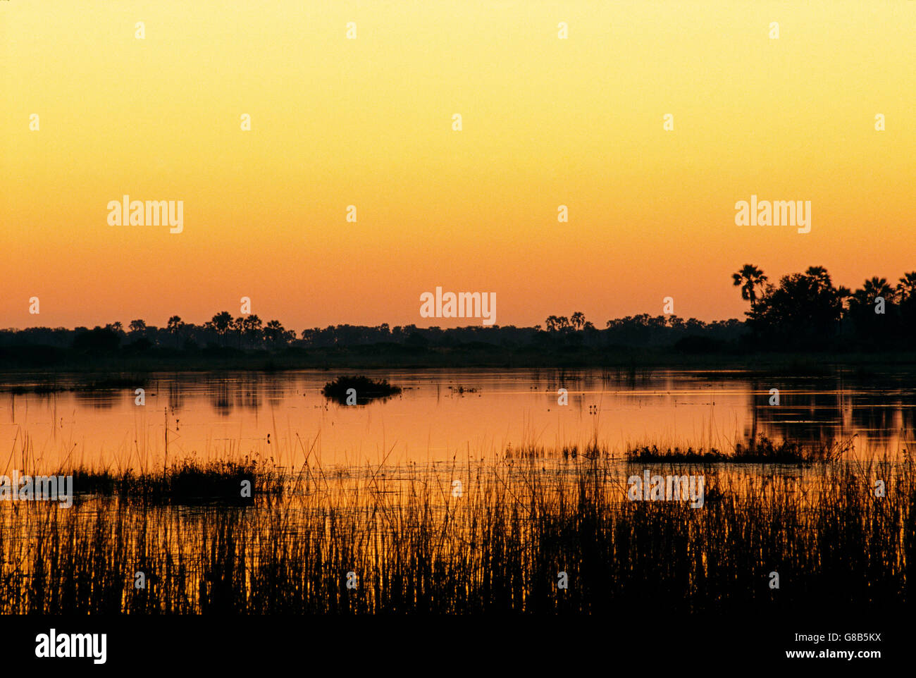 Botswana Okavango sunset Foto de stock