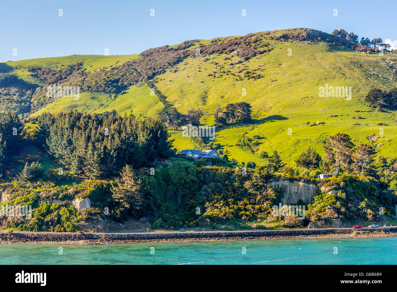 Escena rural y granja de ovejas cerca de Dunedin, en la Región de Otago de la Isla Sur de Nueva Zelanda Foto de stock