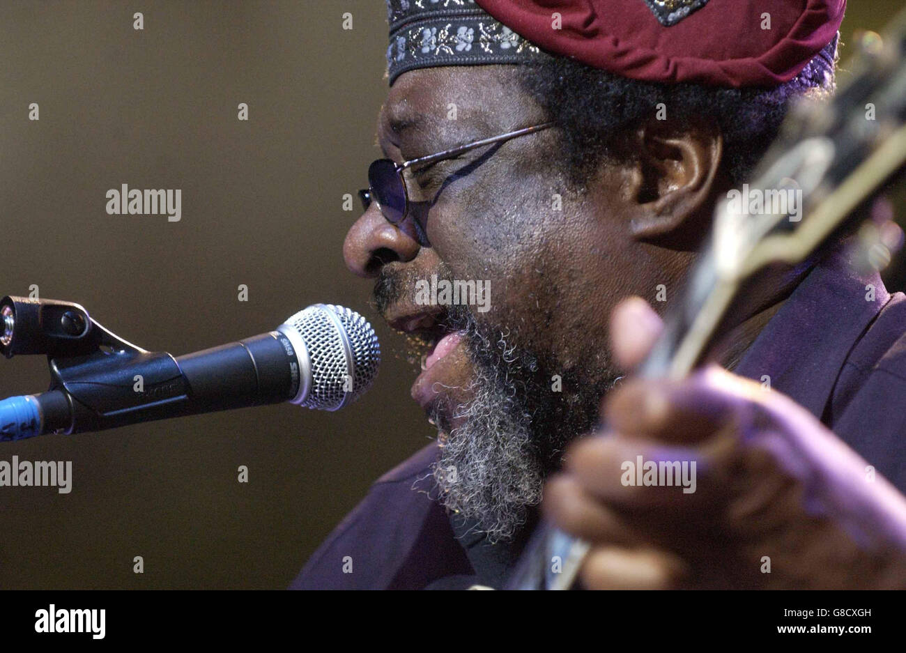 James blood ulmers odyssey actuar en vivo royal festival hall