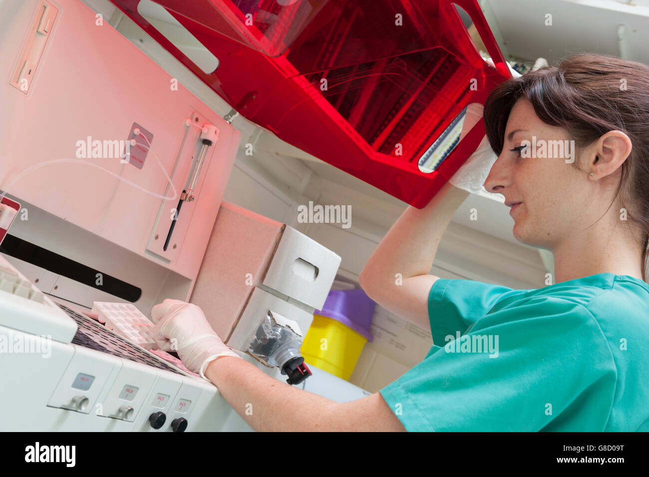 Enfermera Veterinaria utilizando equipos de diagnostico. Inglaterra. UK Foto de stock