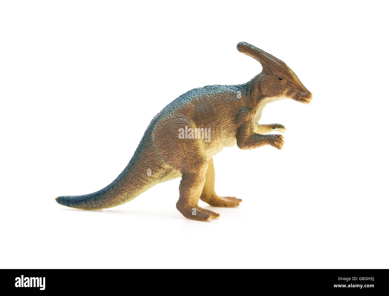 Vista lateral del juguete Parasaurolophus marrón sobre un fondo blanco  Fotografía de stock - Alamy