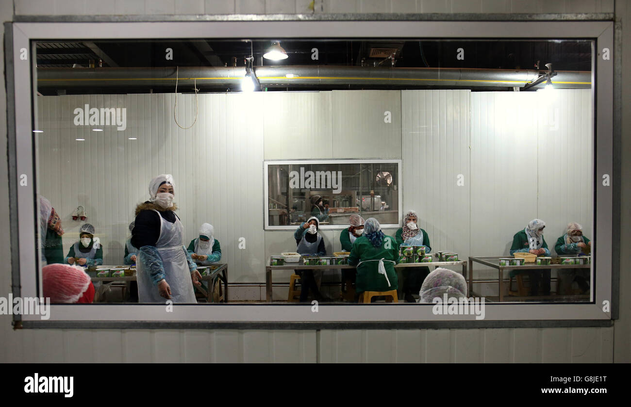 Una visión general de los empleados que trabajan en los productos Dura Food en Ammán, Jordania. Foto de stock