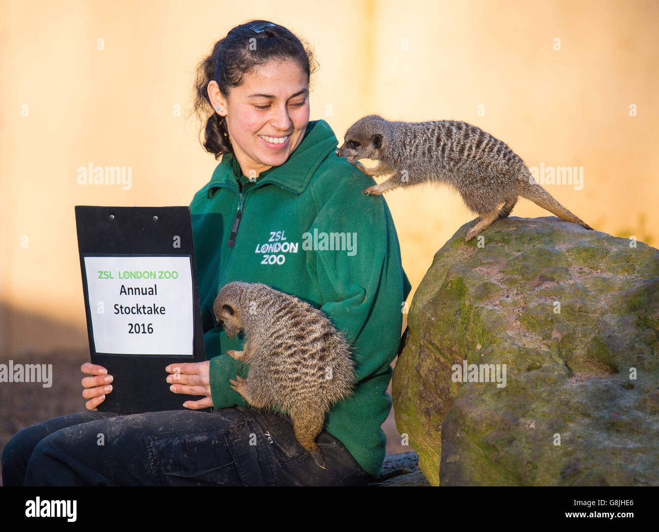 Inventario anual zsl london zoo fotografías e imágenes de alta