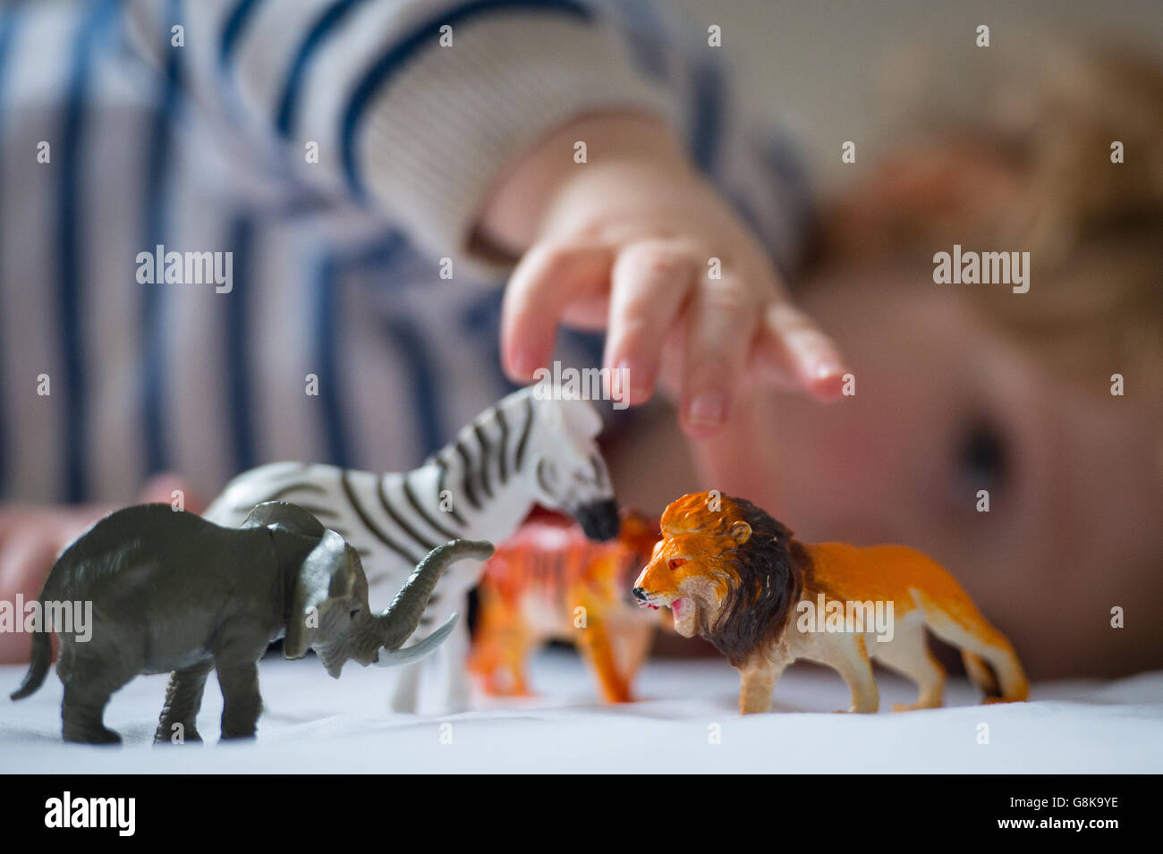 Un niño en edad preescolar juega con animales de juguete de plástico. Foto de stock