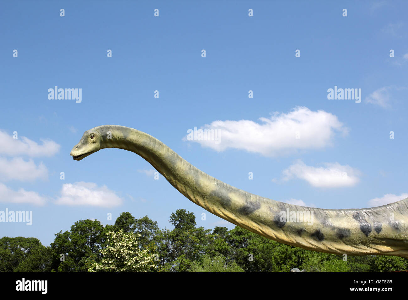 Cuello largo dinosaurio fotografías e imágenes de alta resolución - Alamy