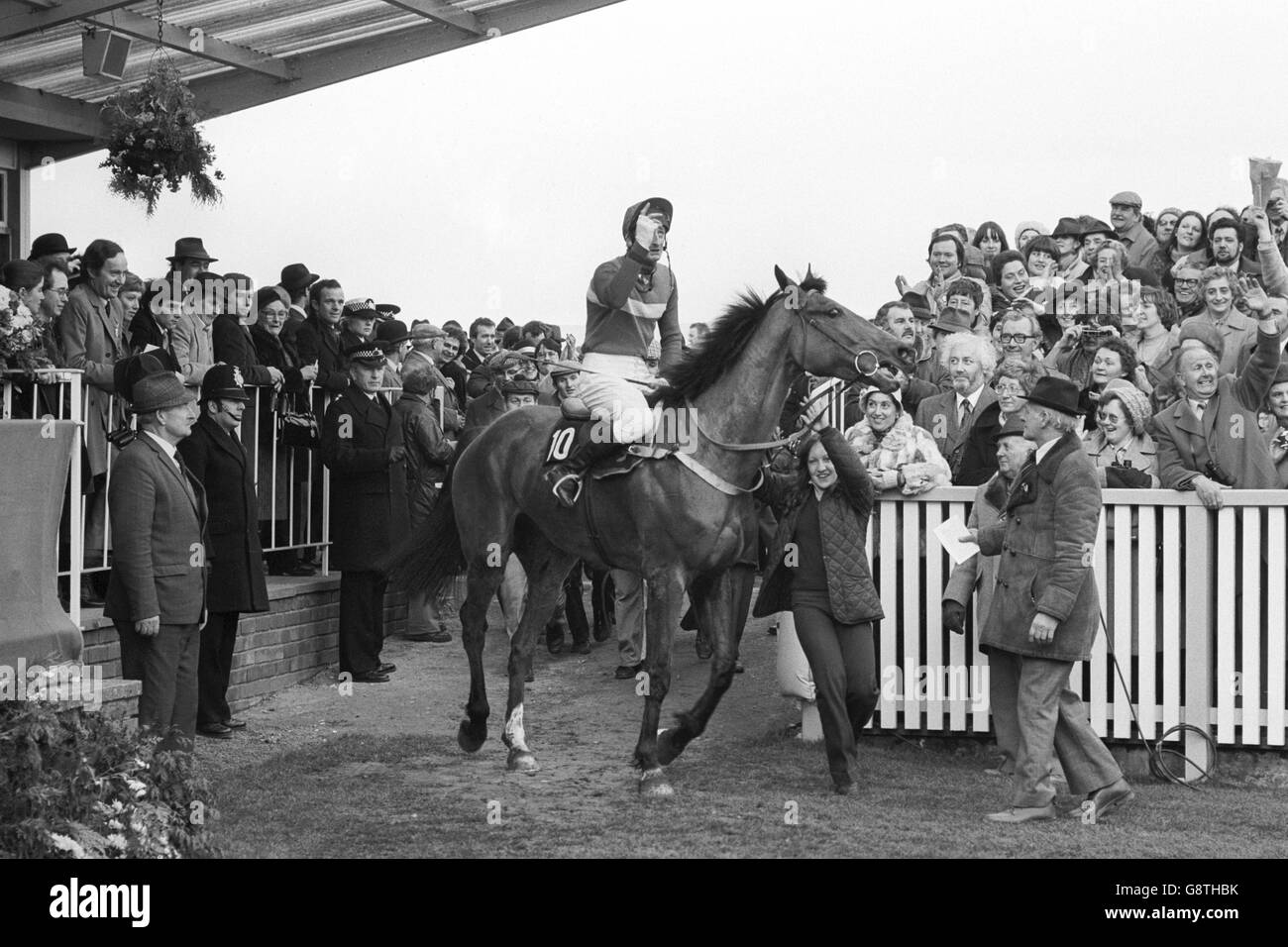 Cheltenham Gold Cup Foto de stock