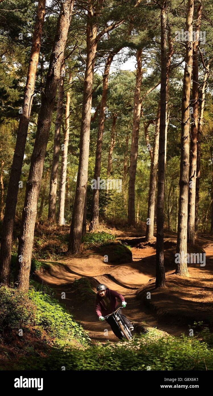 Ryan Anderson monta una bicicleta de montaña a lo largo de un sendero en el parque de bicicletas Chicksands en Rowney Waren en Bedfordshire. Foto de stock