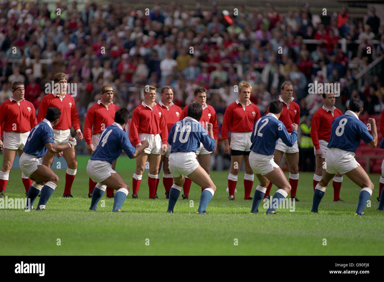 Rugby Union - Copa Mundial 1991 - Grupo 3 - Gales contra Samoa Occidental. Samoa Occidental realiza el Manu, su versión del Haka, antes del partido. Foto de stock