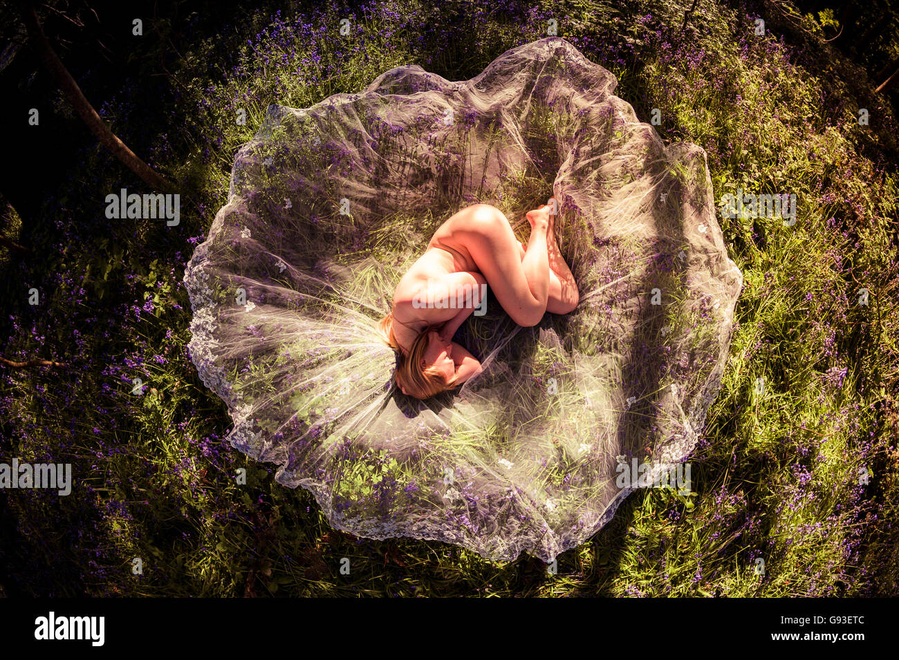 Desnuda en el bosque: una vista cenital joven mujer rubia chica tumbados en  el suelo enroscada en posición fetal en un círculo de encaje entre una  multitud de campanillas en una cálida