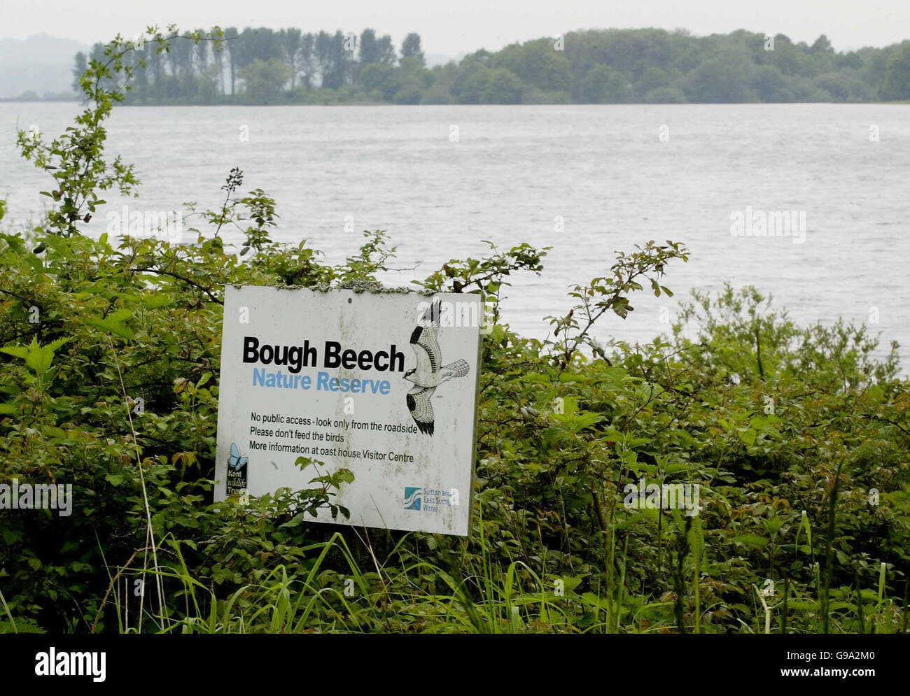 Bough El embalse de haya en Kent el día en que el primer orden de sequía de 10 años en Inglaterra y Gales se impone a medida que se profundizan las preocupaciones por la creciente crisis del agua en algunas partes del Reino Unido. Foto de stock