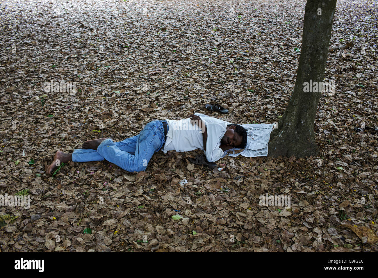 Un hombre duerme debajo de un árbol en un parque público en Panjim, Goa, India. Foto de stock