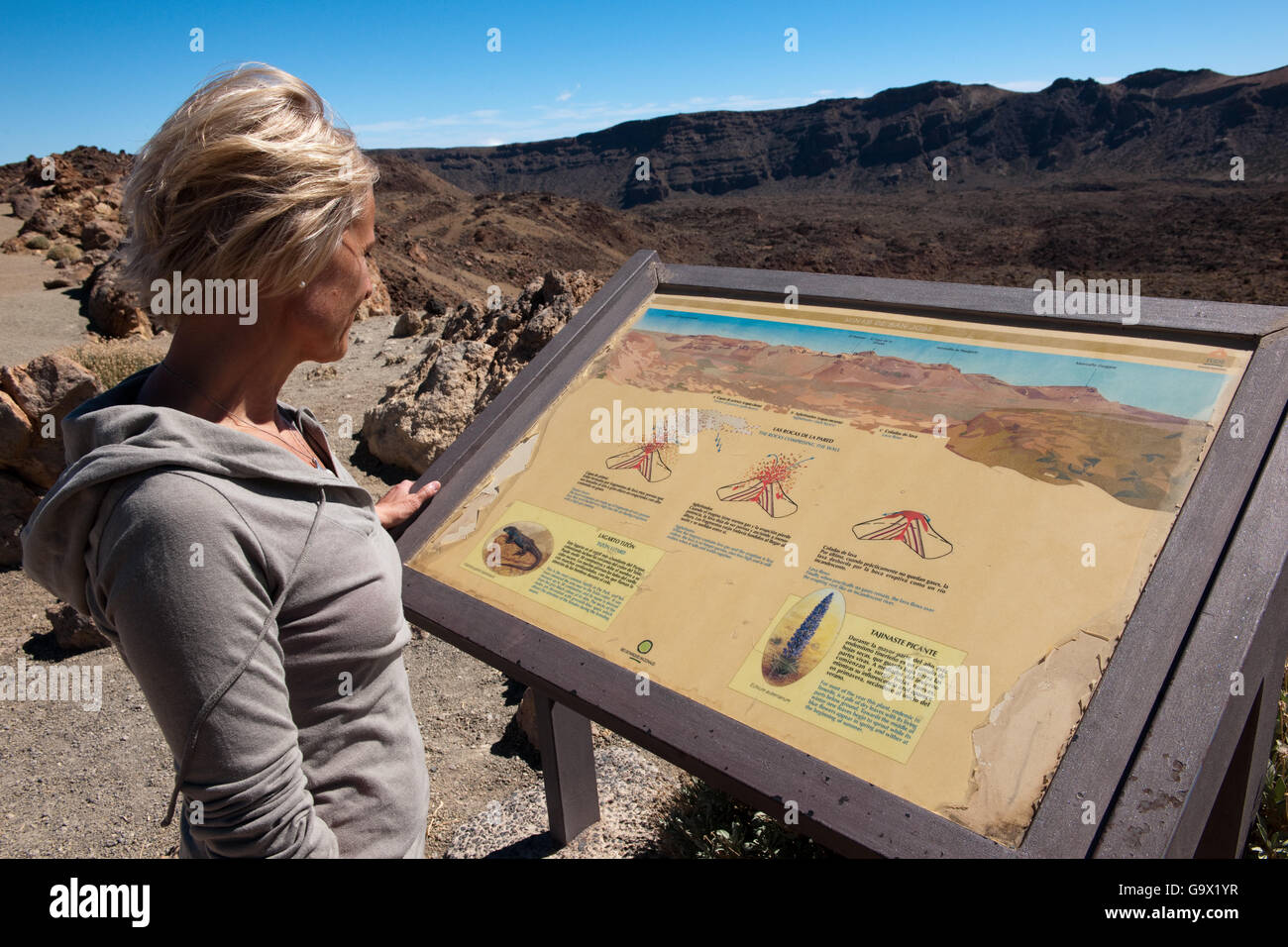 Mujer leyendo información junta en la meseta del Teide, Tenerife, España, Islas Canarias, Europa Foto de stock