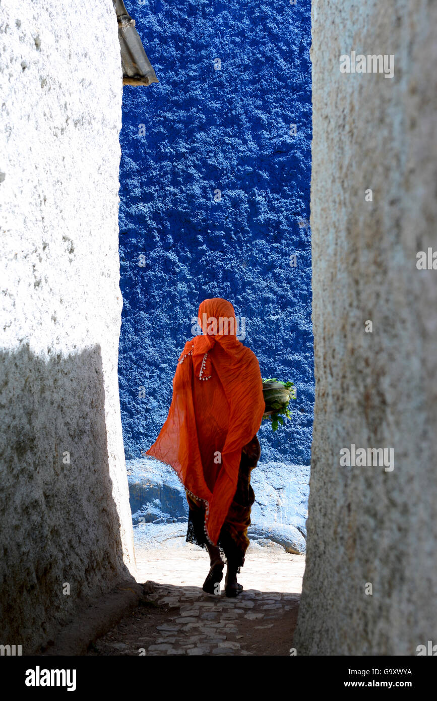 Mujer musulmana, caminando por las estrechas calles coloridas, Harar, una importante ciudad sagrada en la fe islámica, Sitio del Patrimonio Mundial de la UNESCO. Etiopía, noviembre de 2014 Foto de stock