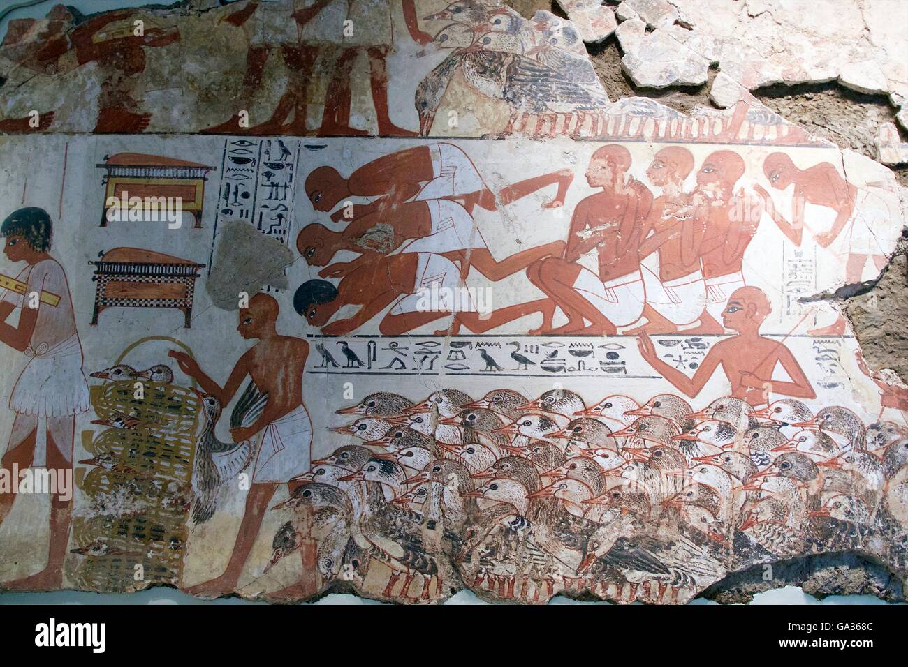 Visualización Nebamun gansos y ganado, tumba-capilla decoración, British Museum, Londres, Reino Unido. Foto de stock