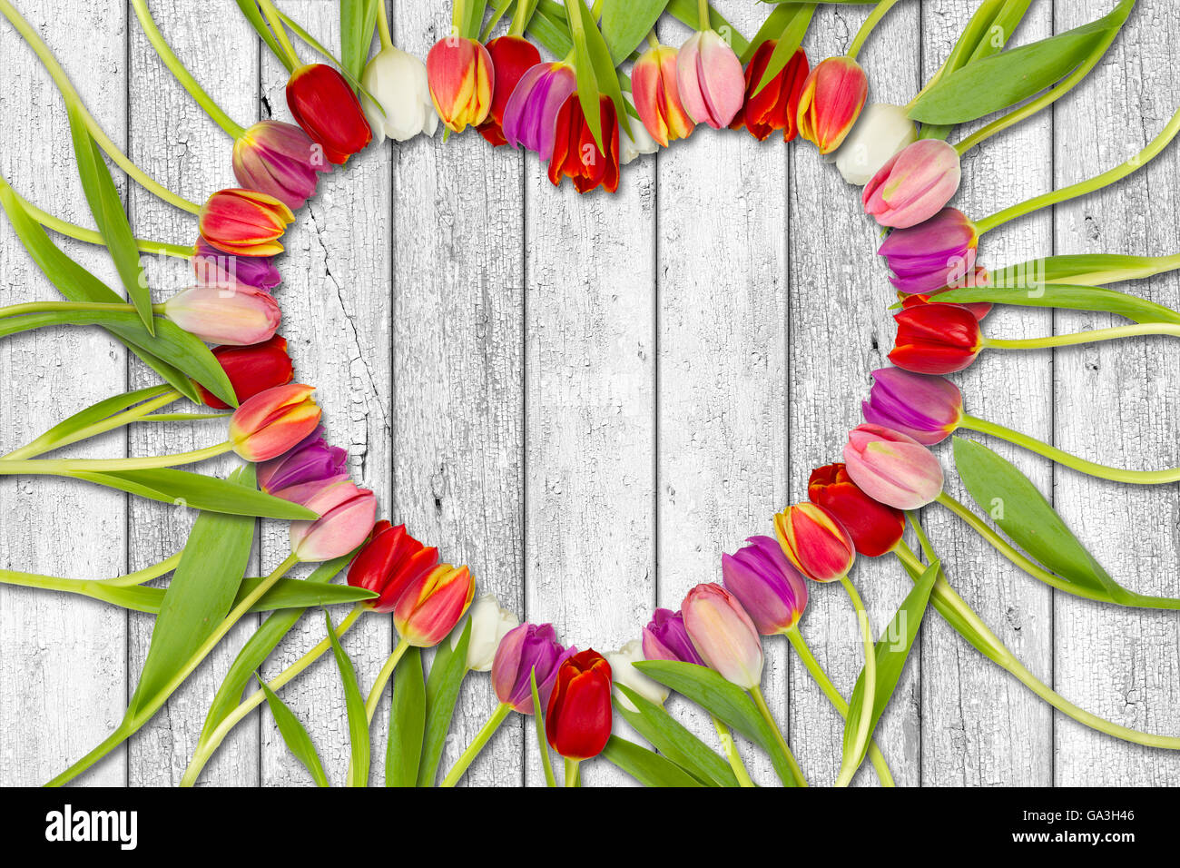 Con forma de corazón de tulipanes en fondo blanco de madera Foto de stock
