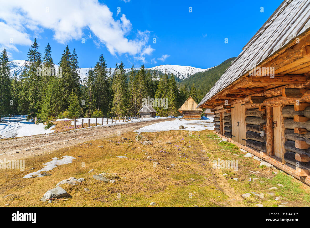 Cabaña de madera a lo largo de la carretera de Valle Chocholowska en primavera, las Montañas Tatra, Polonia Foto de stock