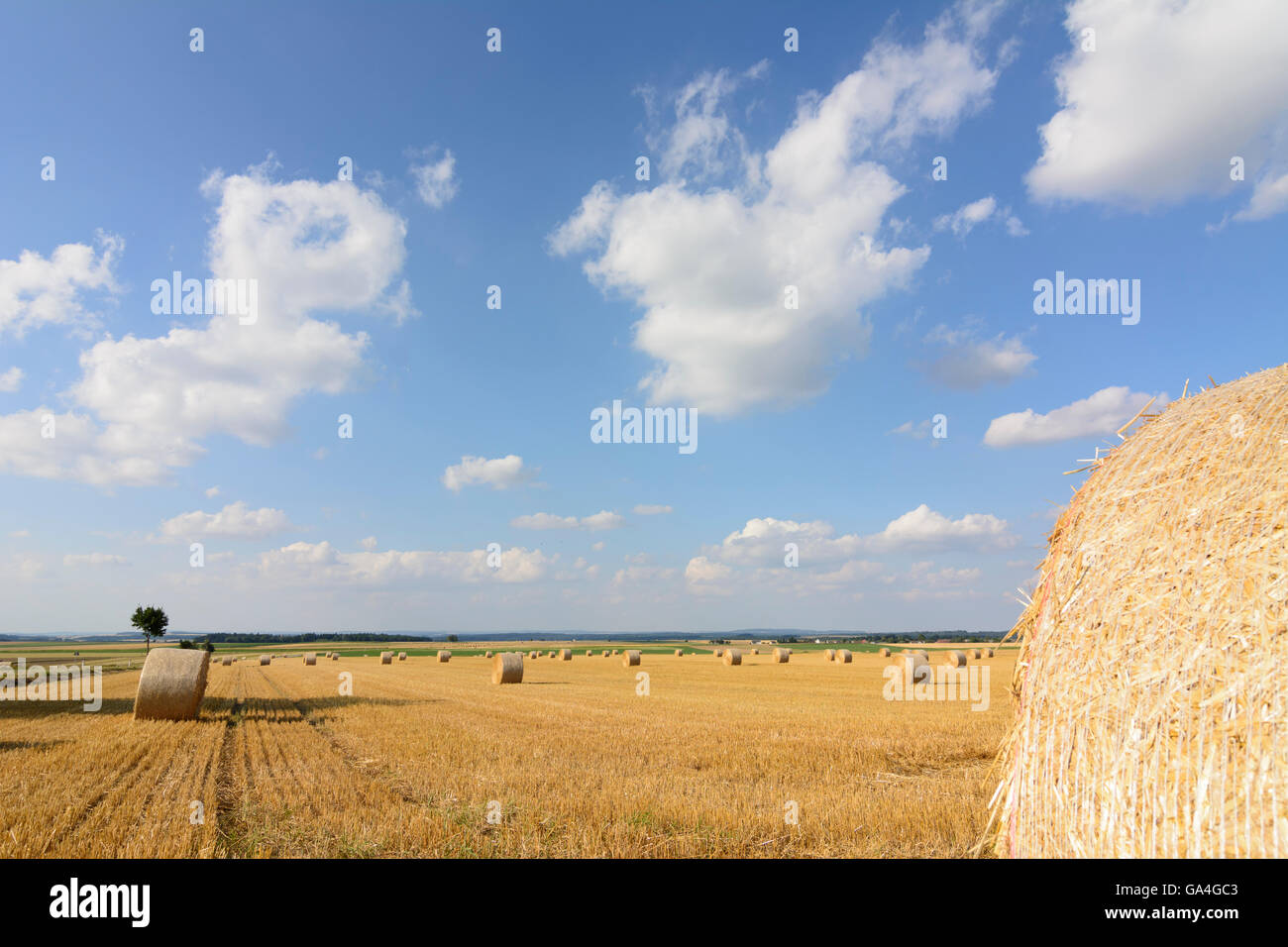 Geras grano cosechado campos con fardos de paja, Niederösterreich Austria Austria Inferior Waldviertel Foto de stock