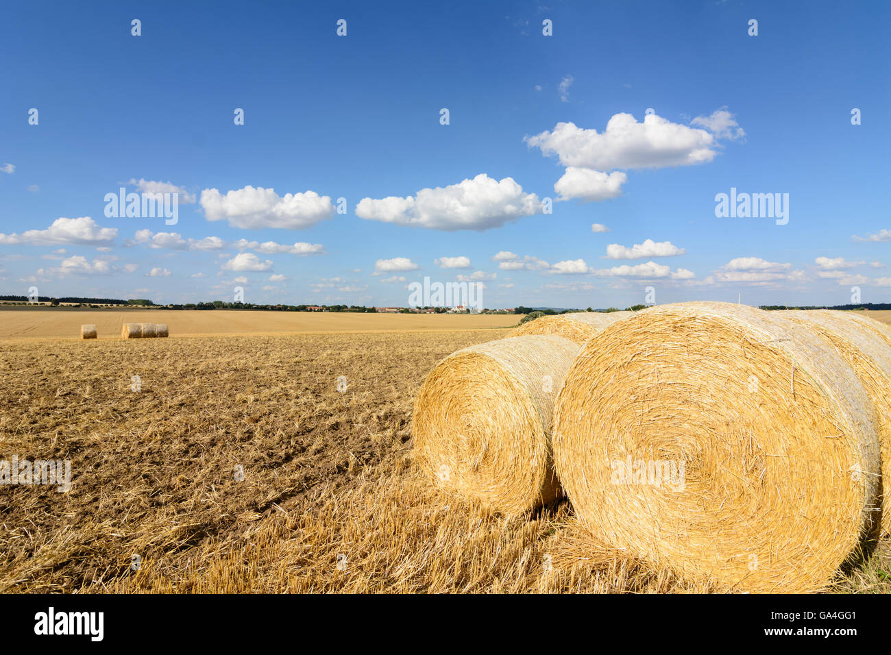 El grano cosechado Drosendorf-Zissersdorf campos con fardos de paja, Niederösterreich Austria Austria Inferior Waldviertel Foto de stock