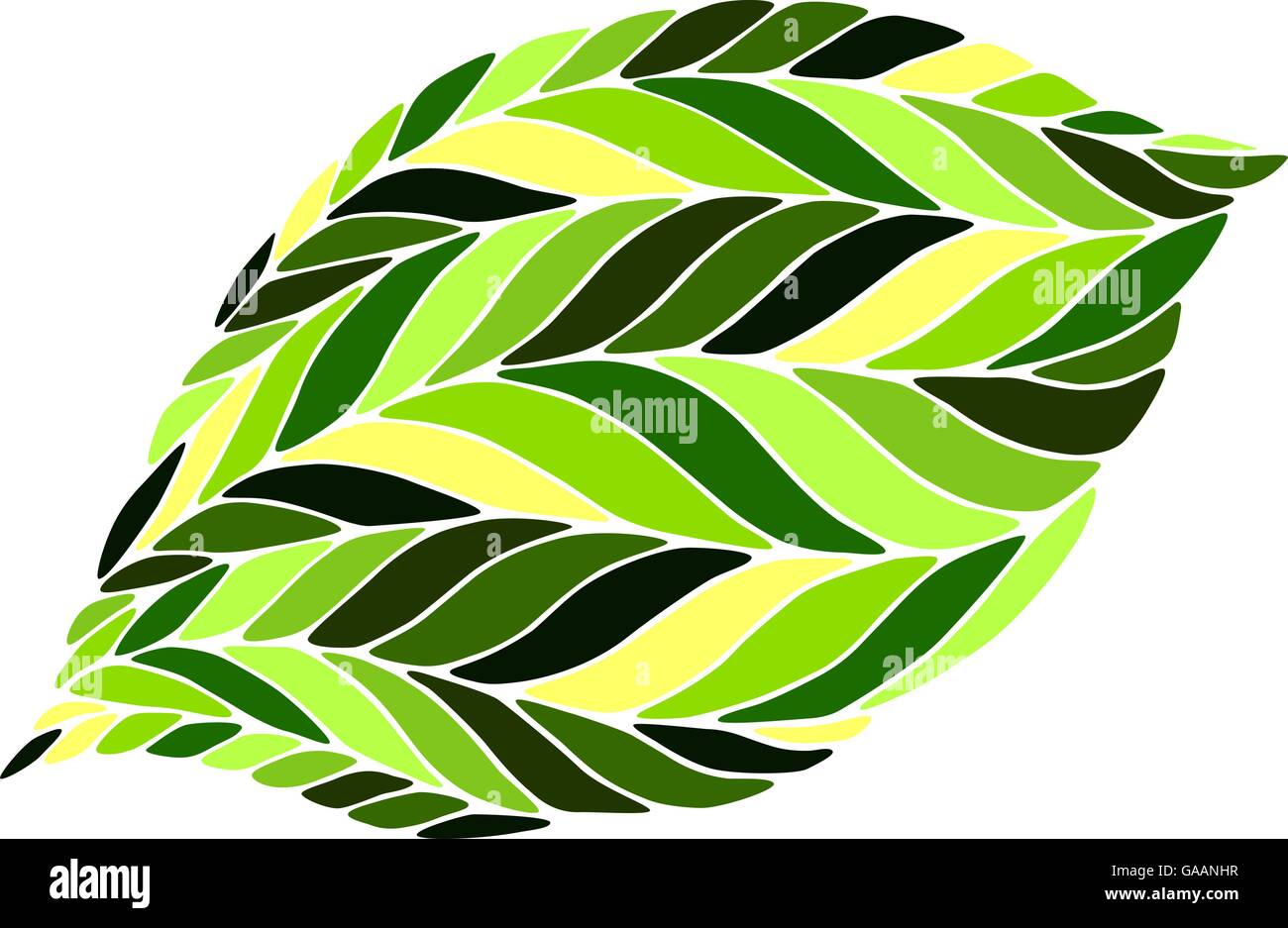 Imagen vectorial de una hoja en tonos verde sobre fondo blanco Imagen