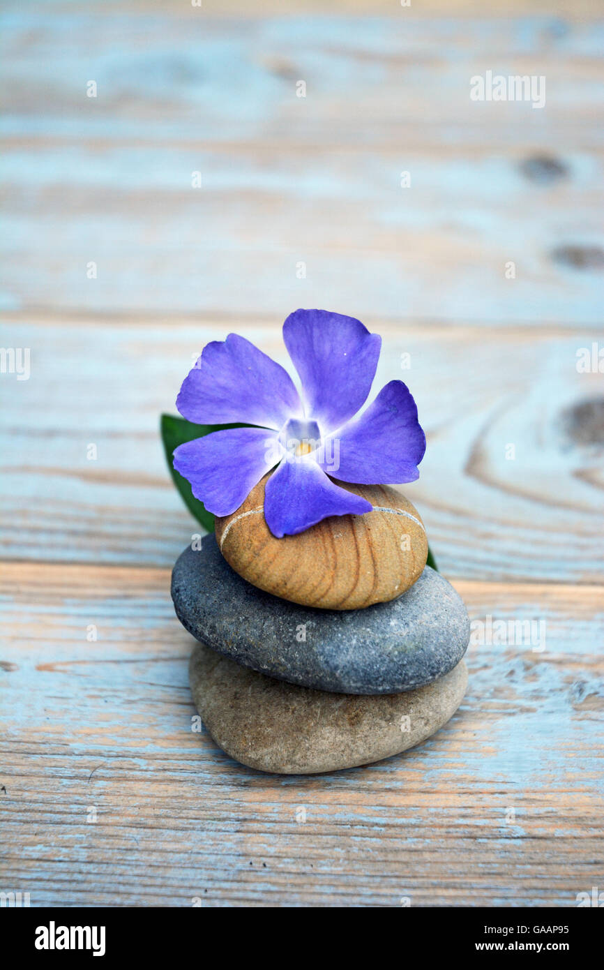 Tres Piedras cairn zen sobre un fondo de madera con una margarita y periwinkle Foto de stock