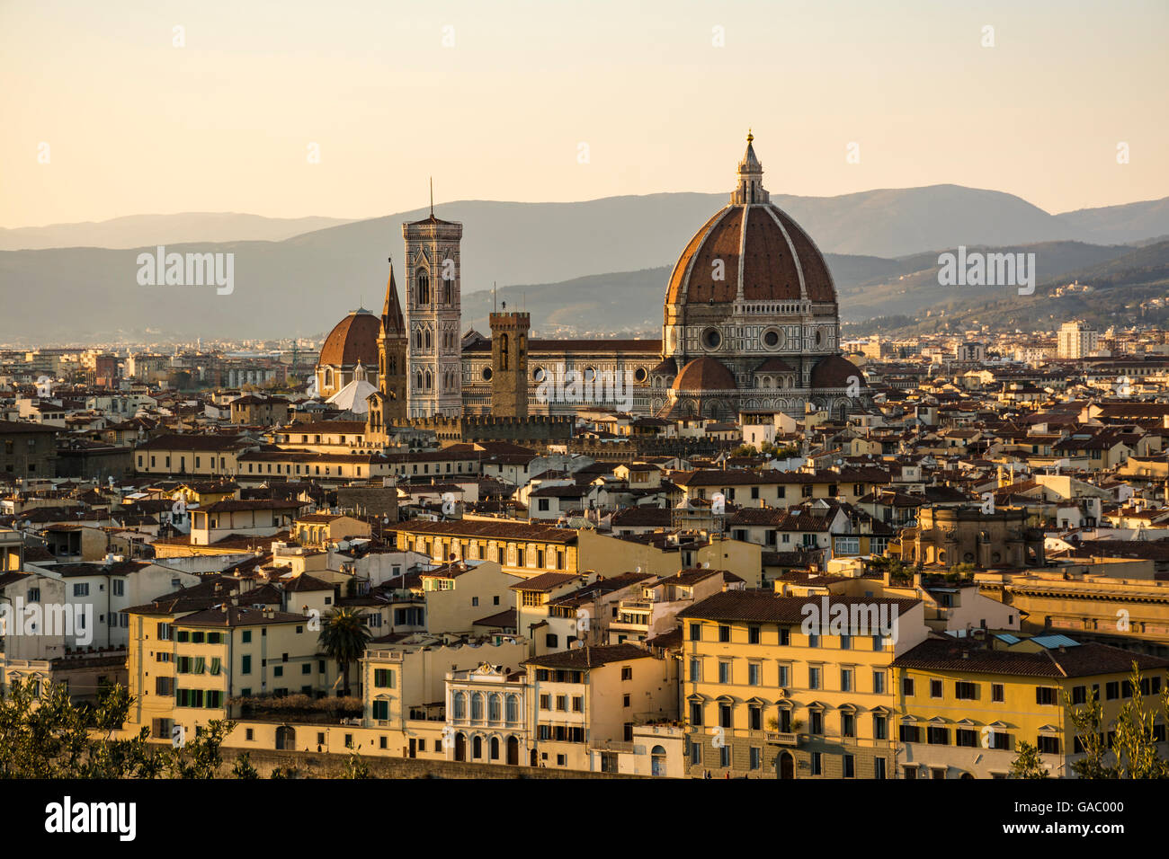 Vista aérea de Florencia, con la Basílica de Santa Maria del Fiore (Duomo), Toscana, Italia Foto de stock