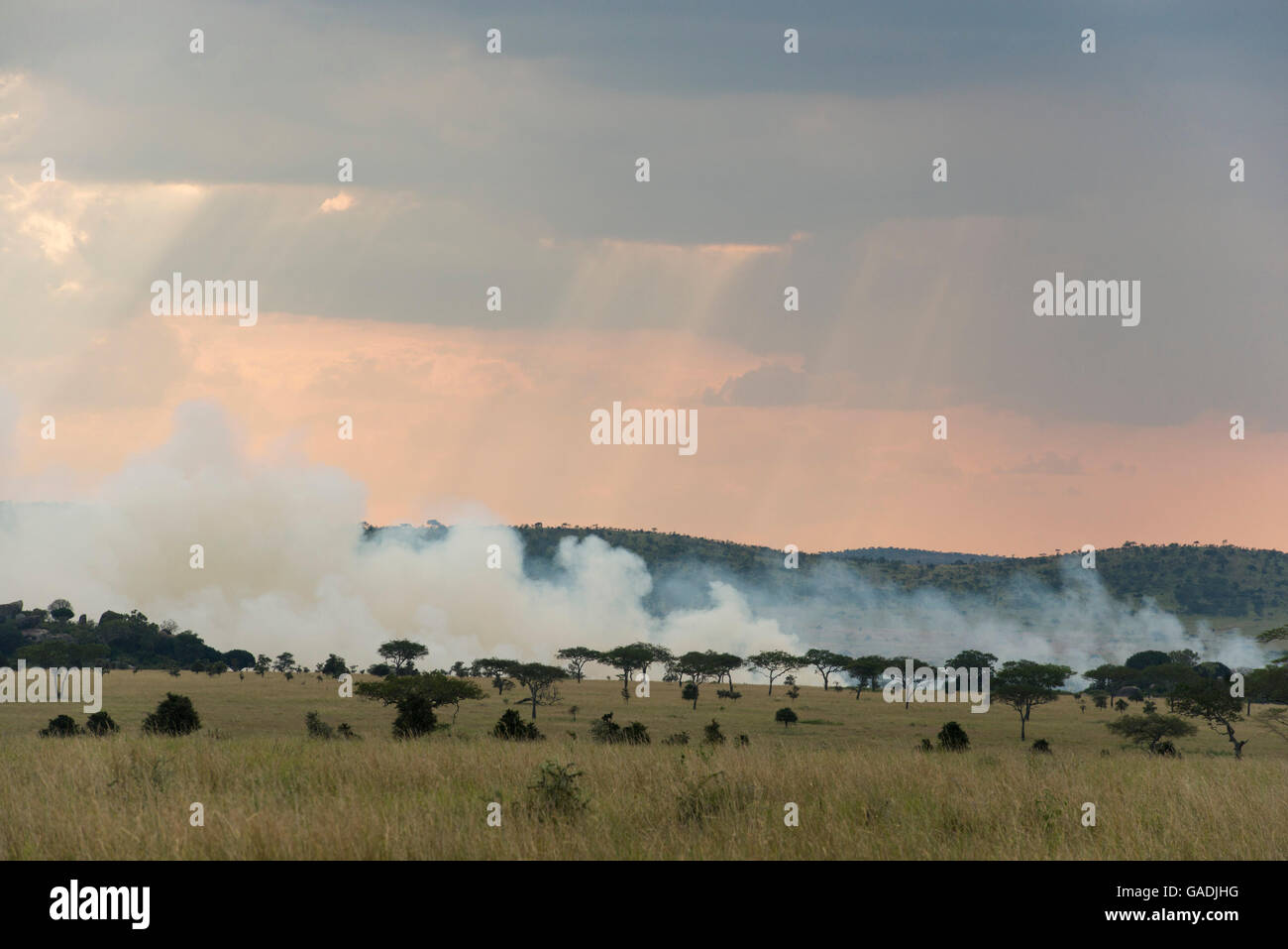 Incendios, Parque Nacional del Serengeti, Tanzania Foto de stock