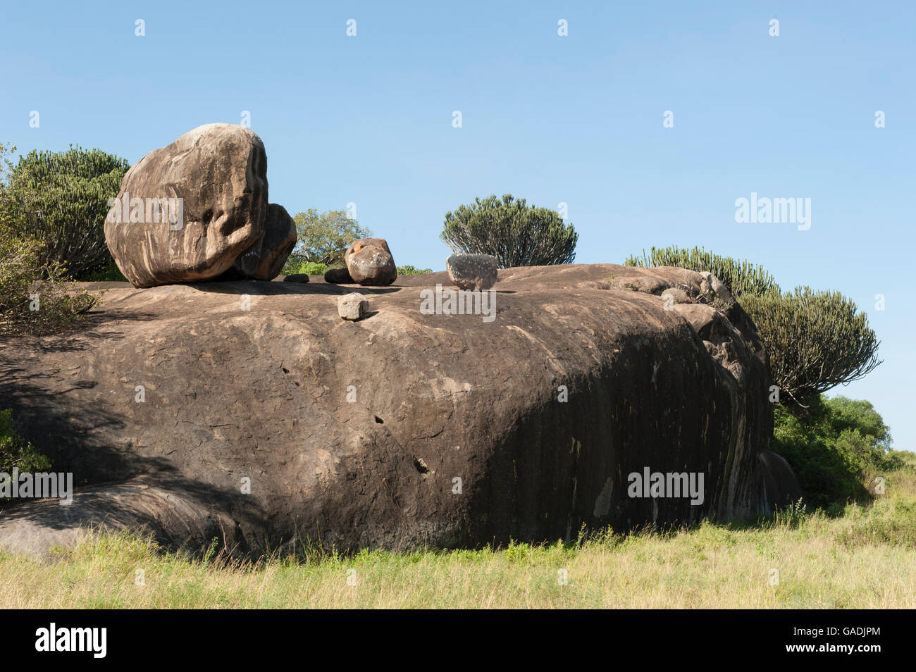 Ngong Rock, Moru Koppies, Parque Nacional del Serengeti, Tanzania Foto de stock