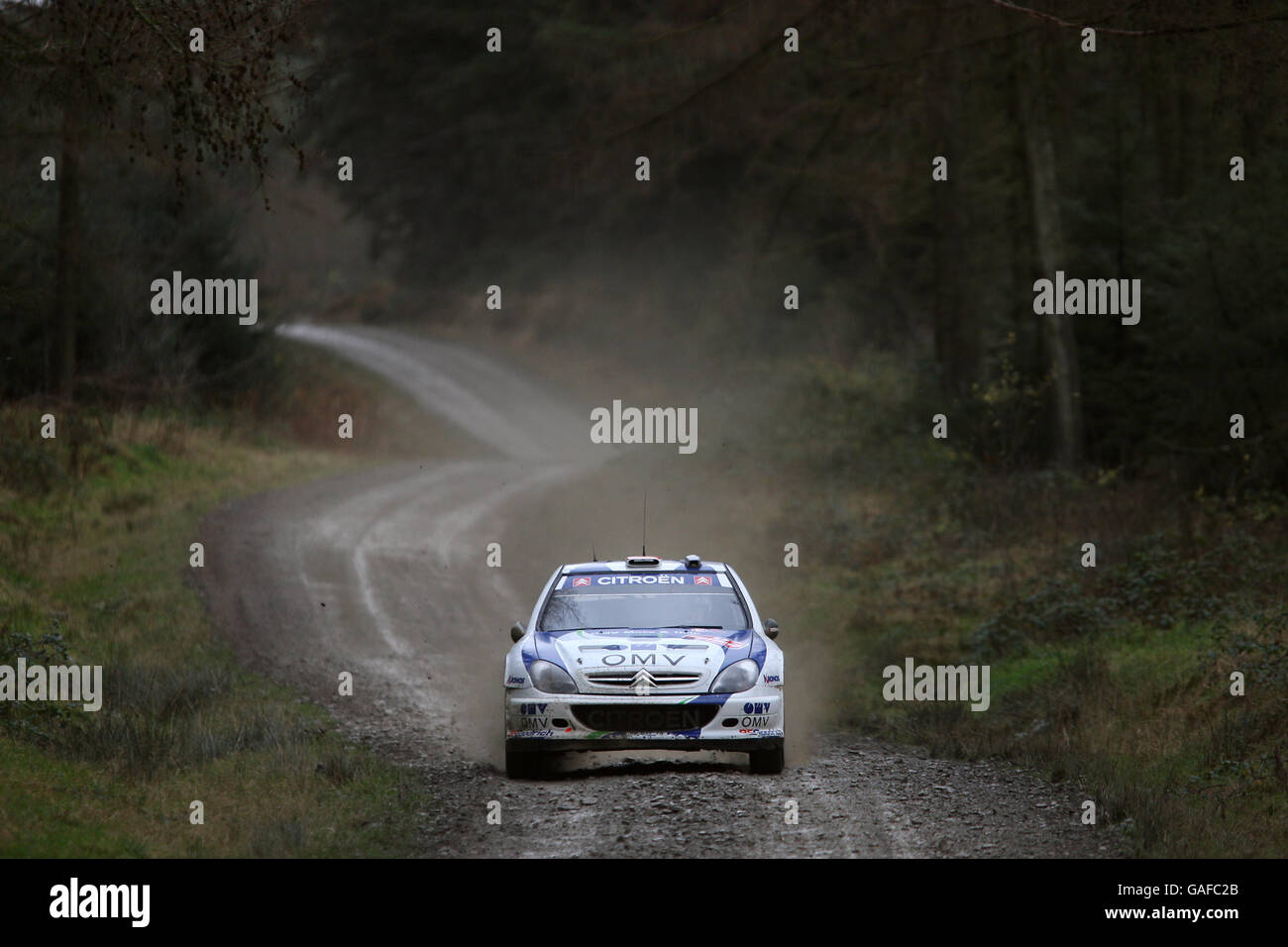 Manfred Stohl de Austria en el OMV Kronos Citroen C4 WRC en el Rallye de Gales GB. Foto de stock