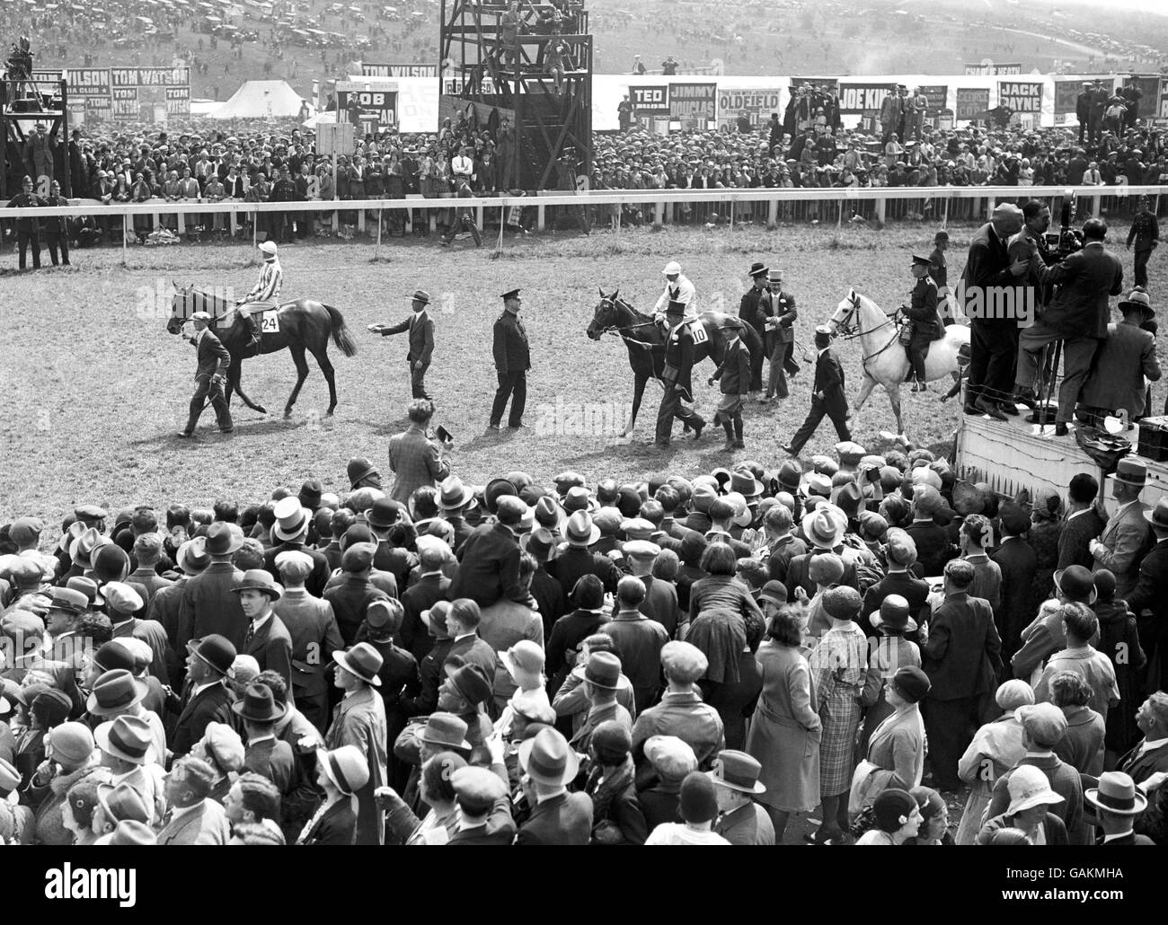 Carreras de caballos - The Epsom Derby - 1931. El ganador del Epsom Derby de 1931, 'Cameronian', fue conducido al recinto de desbarbado. Foto de stock