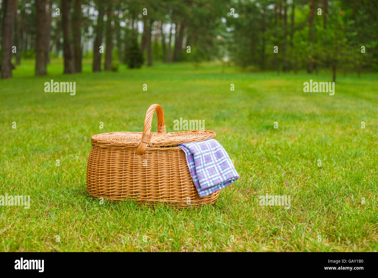 Canasta de picnic con azul blanco accidentada servilleta en la hierba. Parque de césped de verano en el fondo Foto de stock