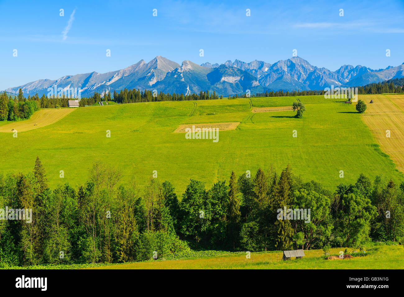 Vista de Tatry El Bielskie montes y verdes campos de cultivo en verano, Polonia Foto de stock