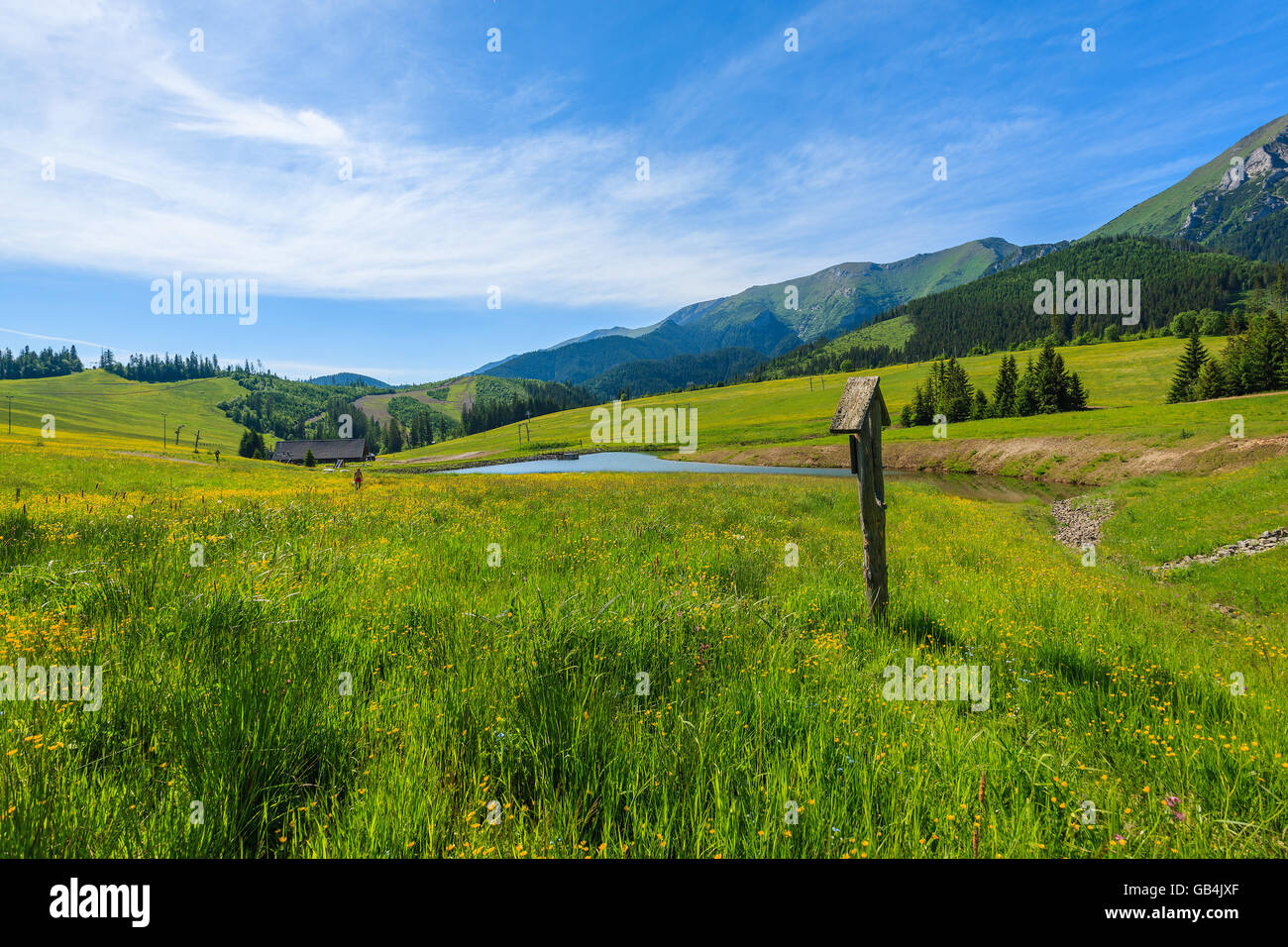 Senderos de madera signo en pradera verde en verano el paisaje de las Montañas Tatra, Eslovaquia Foto de stock